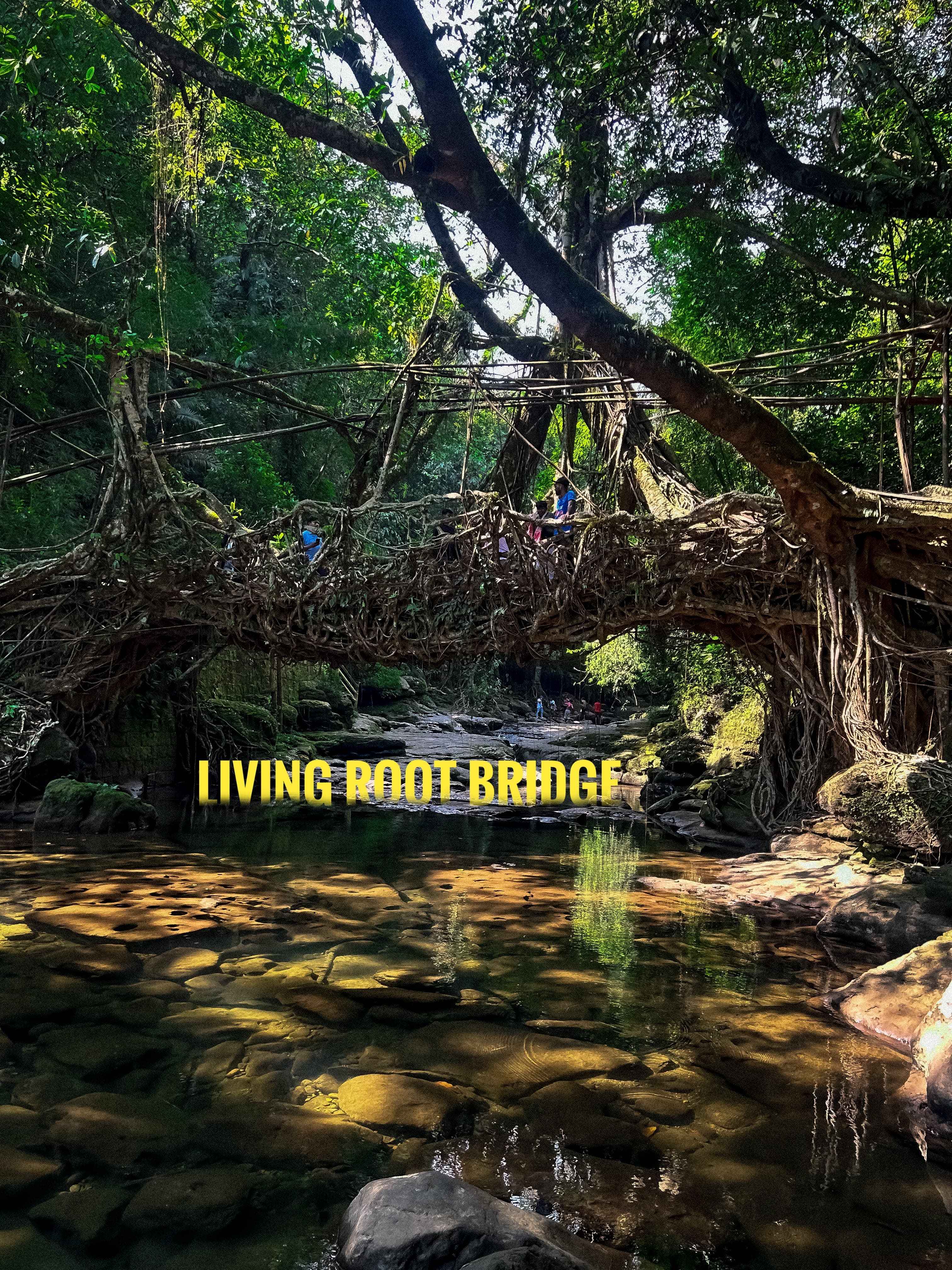 A quiet corner of Meghalaya